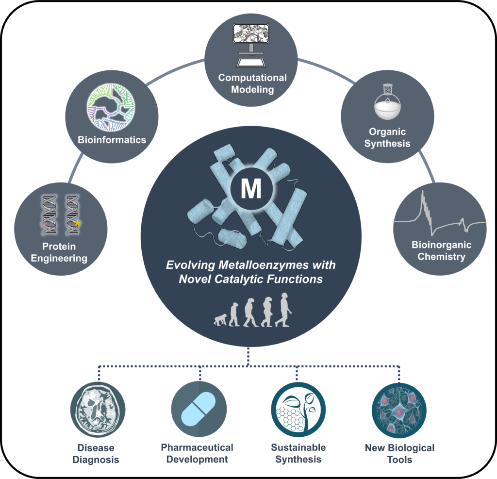 Research – HUANG LAB