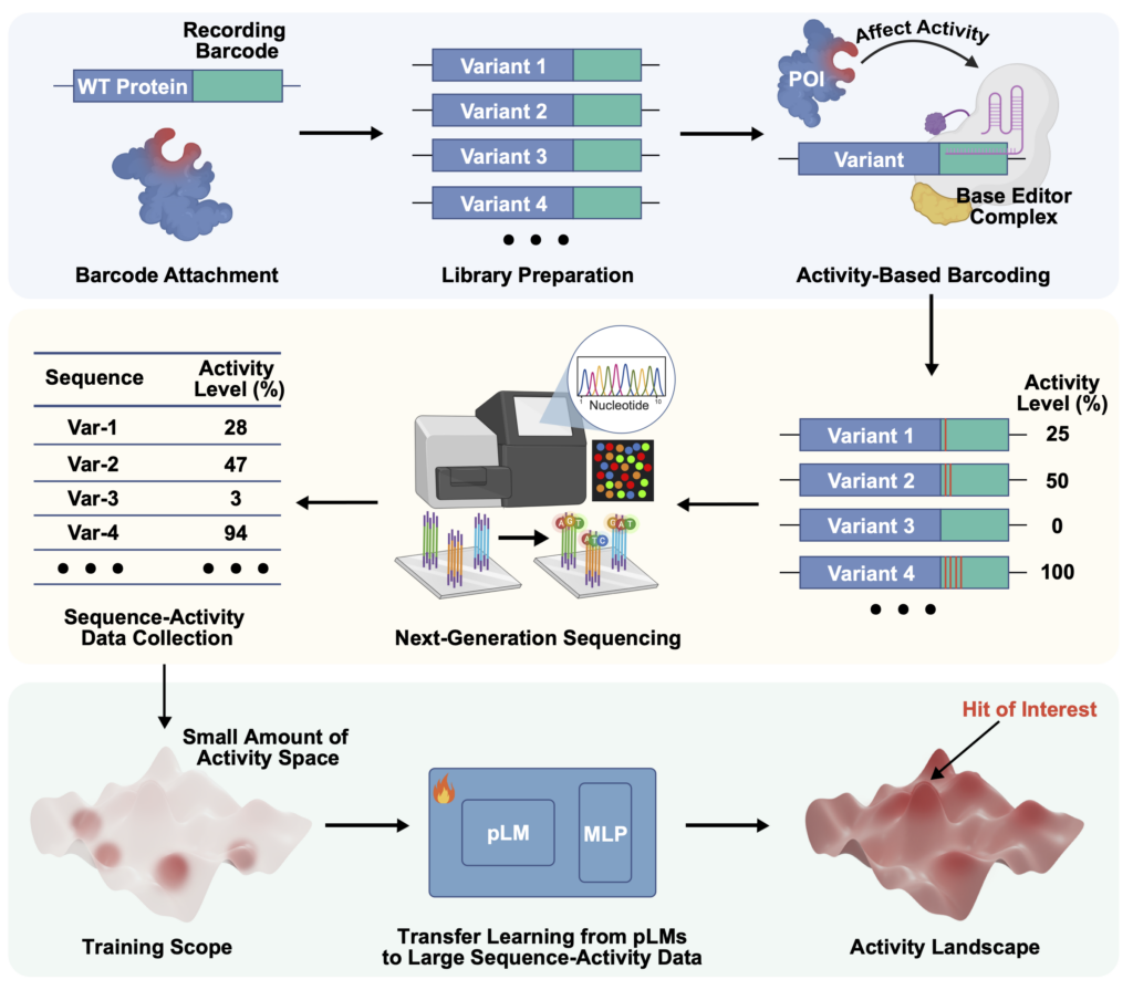Papers – HUANG LAB